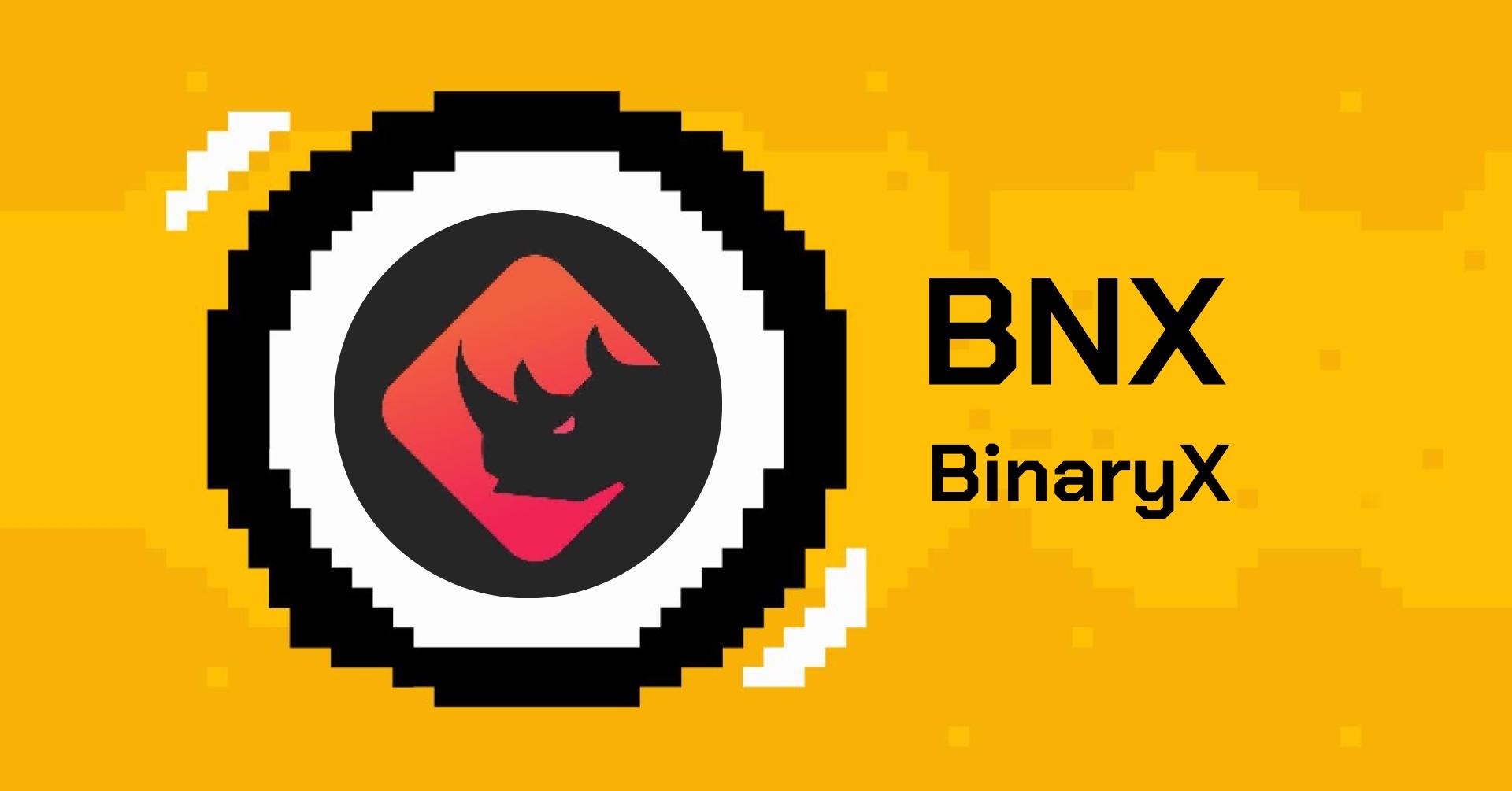 binaryx là gì