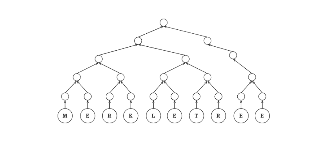merkle tree tóm tắt toàn bộ các giao dịch trong một khối