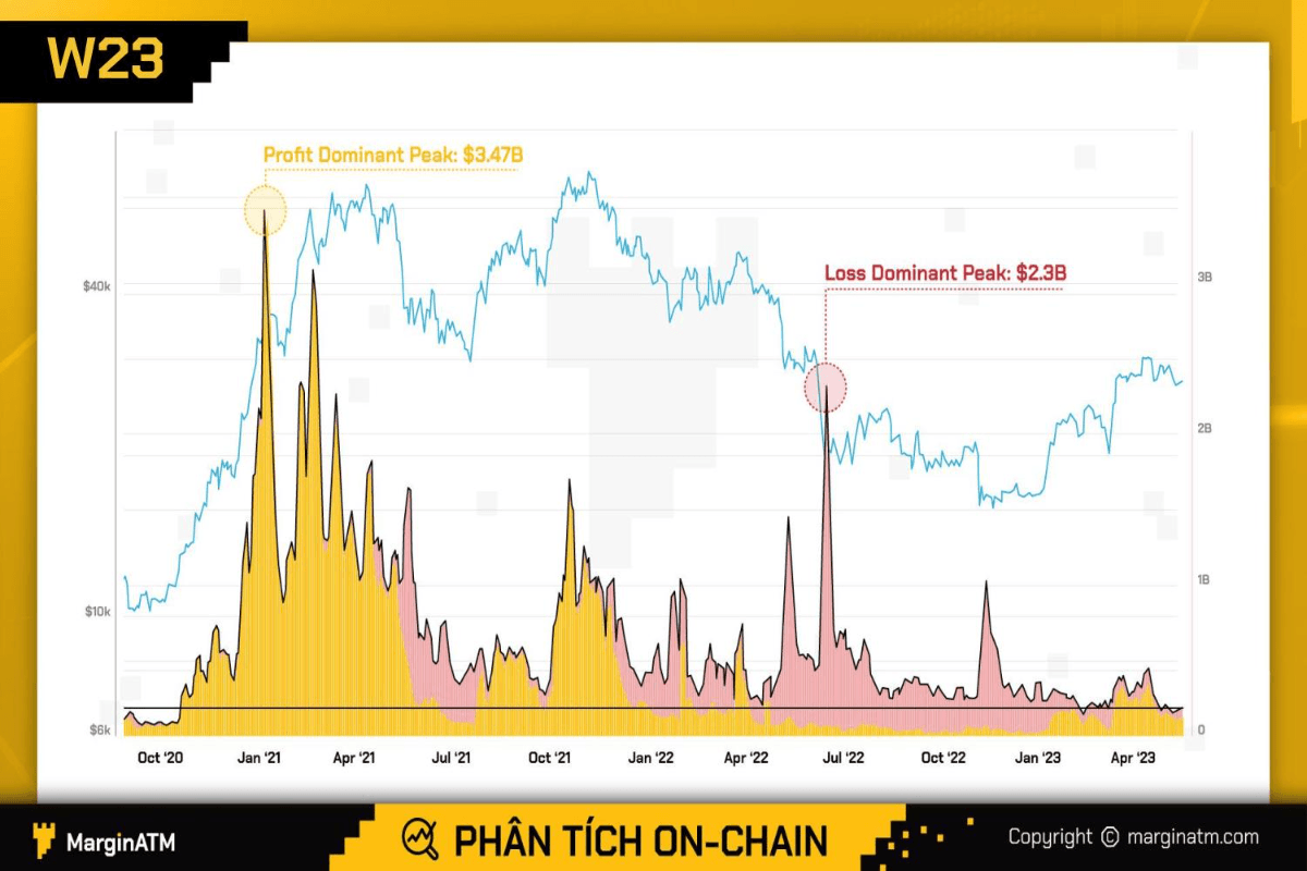 Dữ liệu on-chain BTC và ETH tuần 23