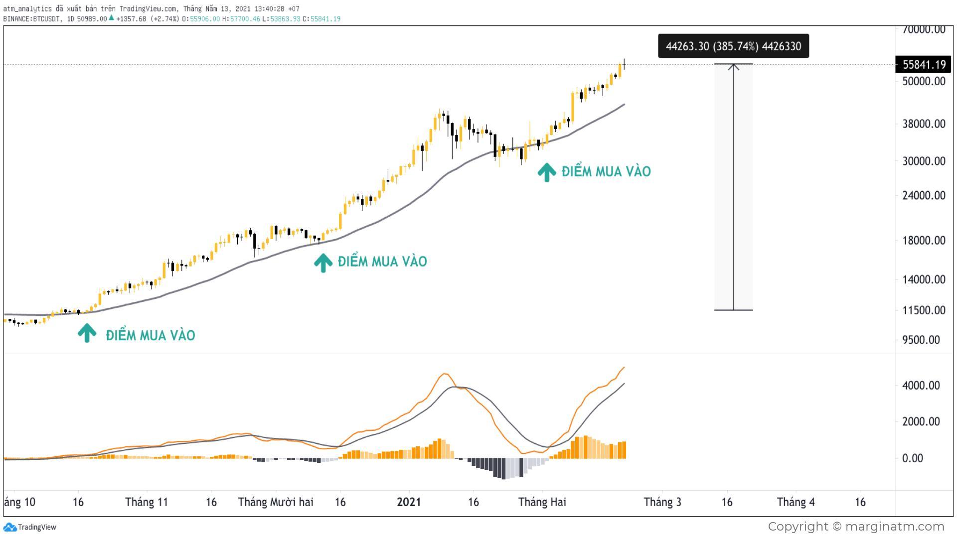 chart btc usdt d