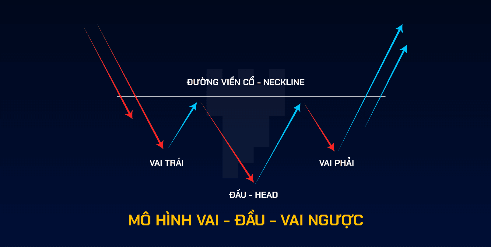 mô hình vai đầu vai ngược