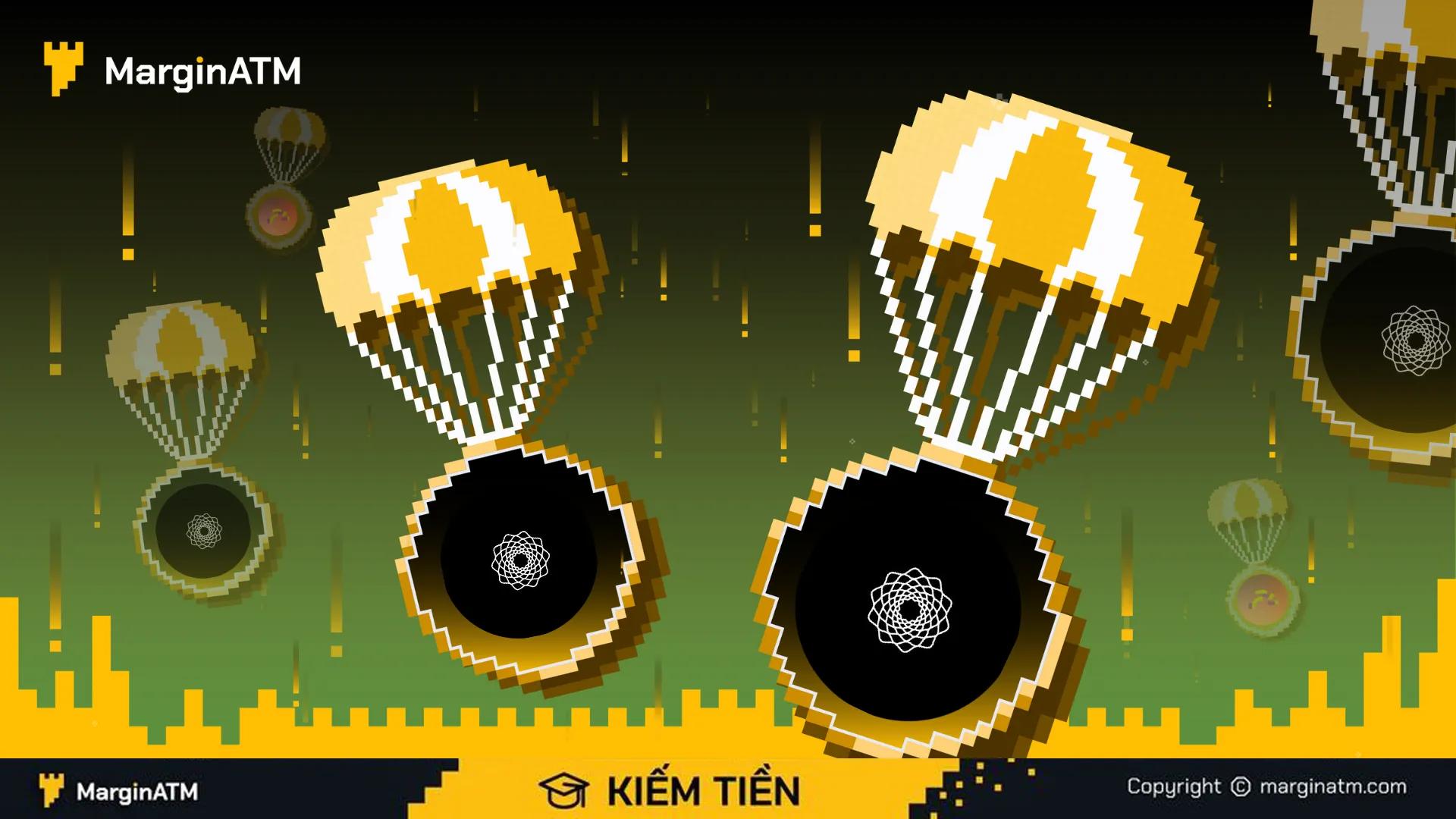 hướng dẫn sử dụng pinnata