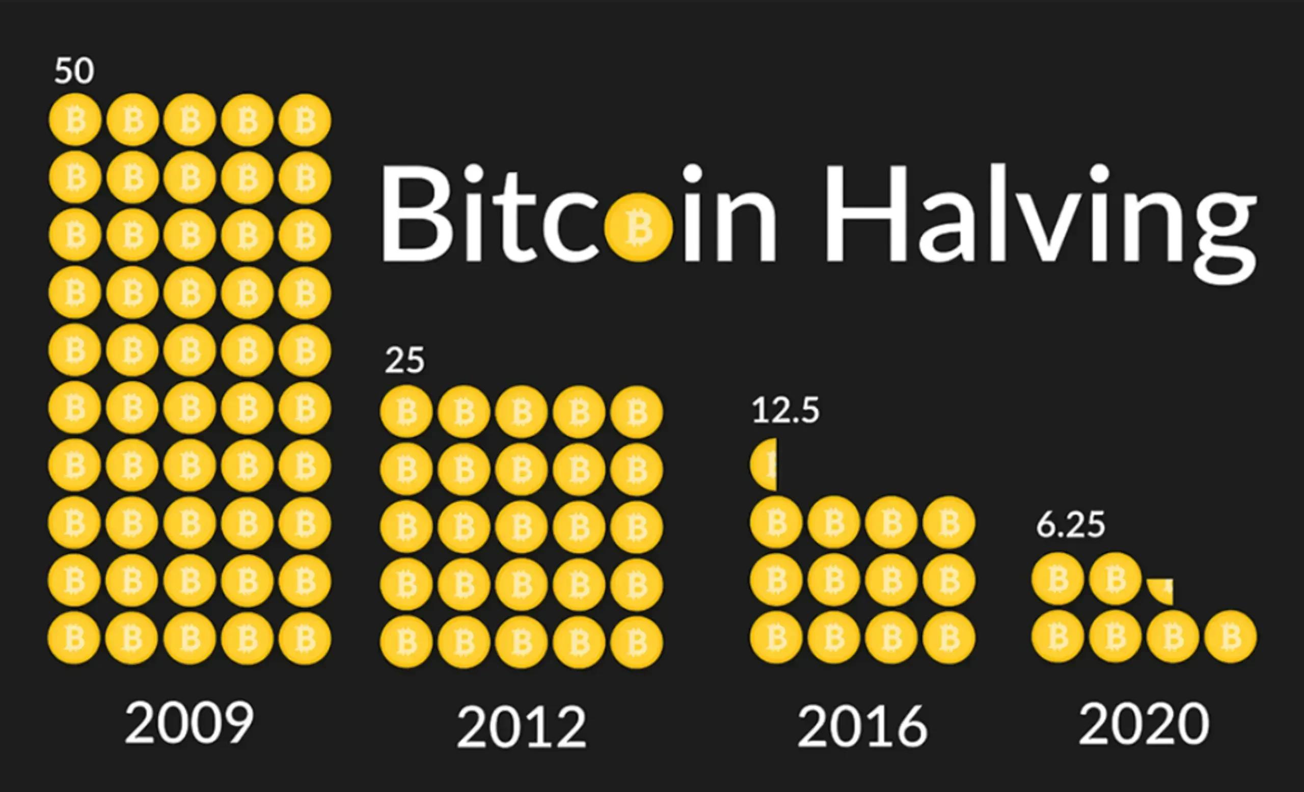 chu kỳ bitcoin halving