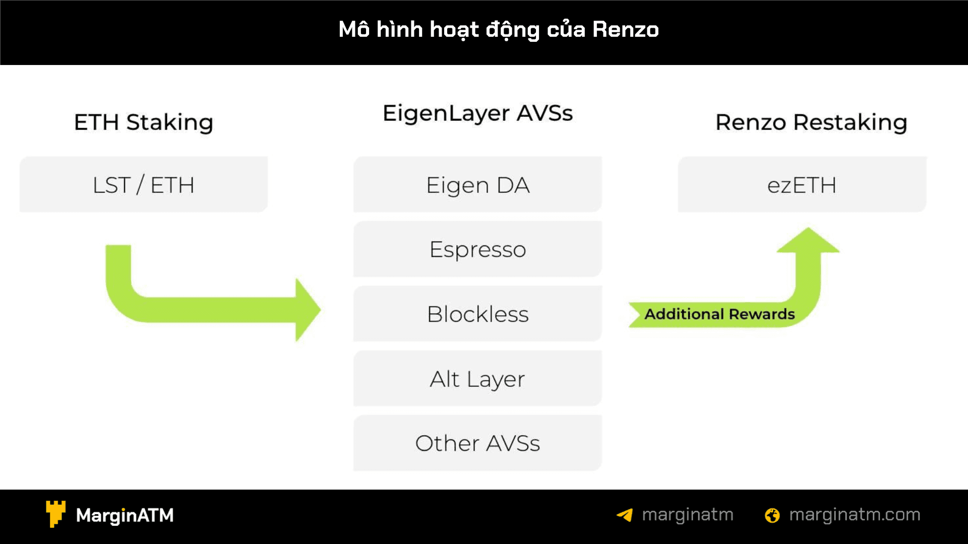 mô hình hoạt động của renzo