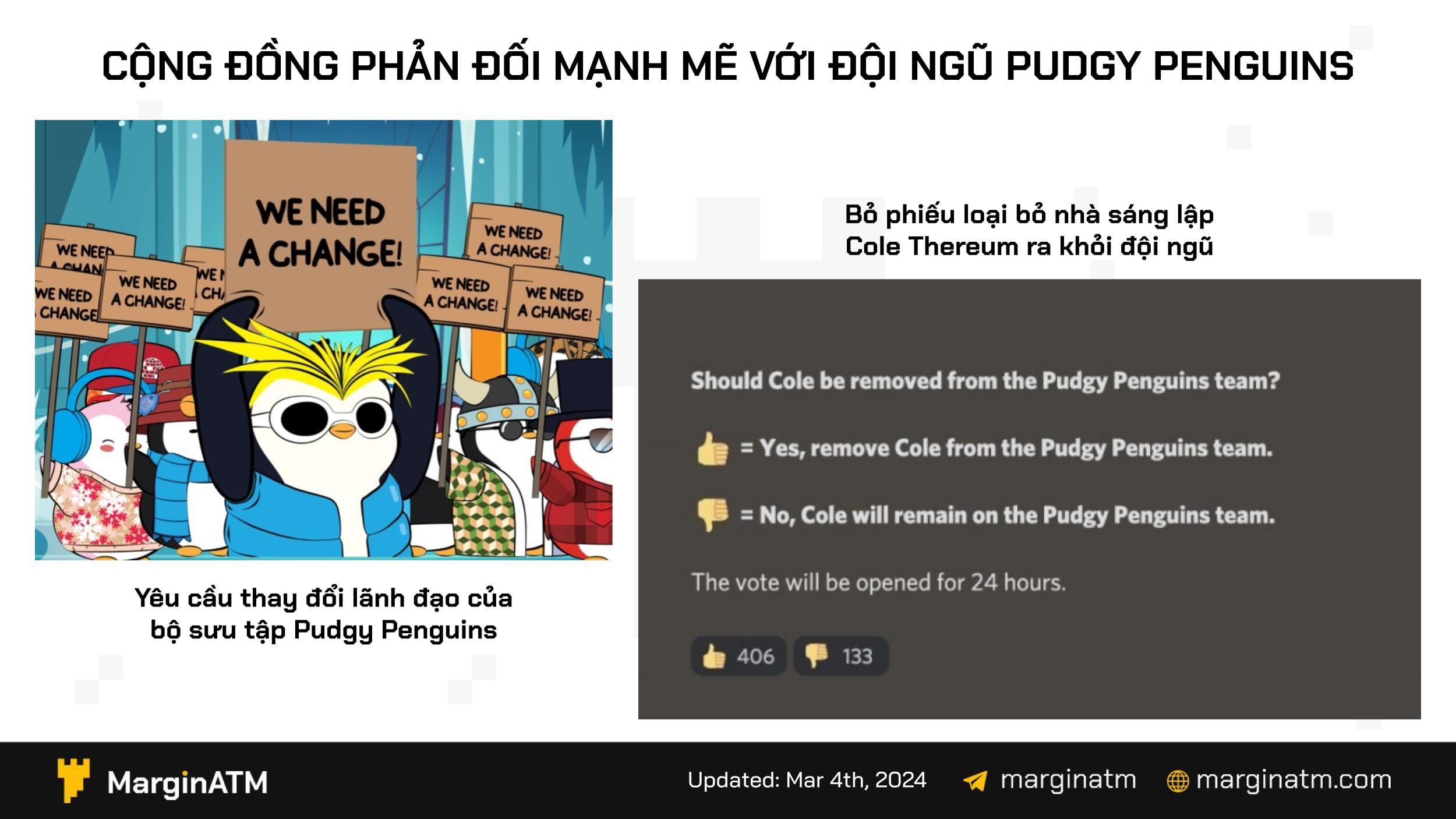 pudgy penguins phản ứng cộng đồng